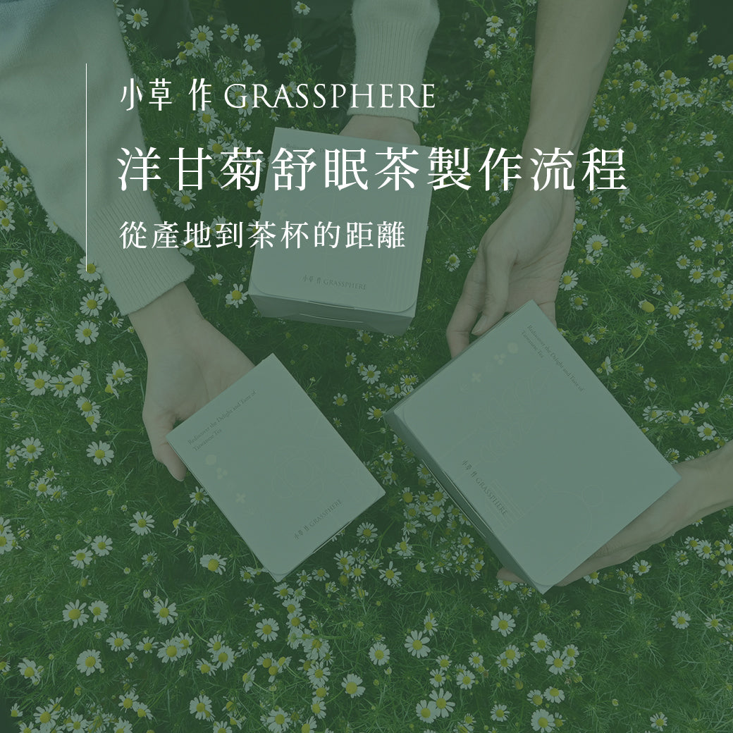 從產地到茶杯的距離,其實很近,但需要一些時間【洋甘菊舒眠茶的製作小故事】