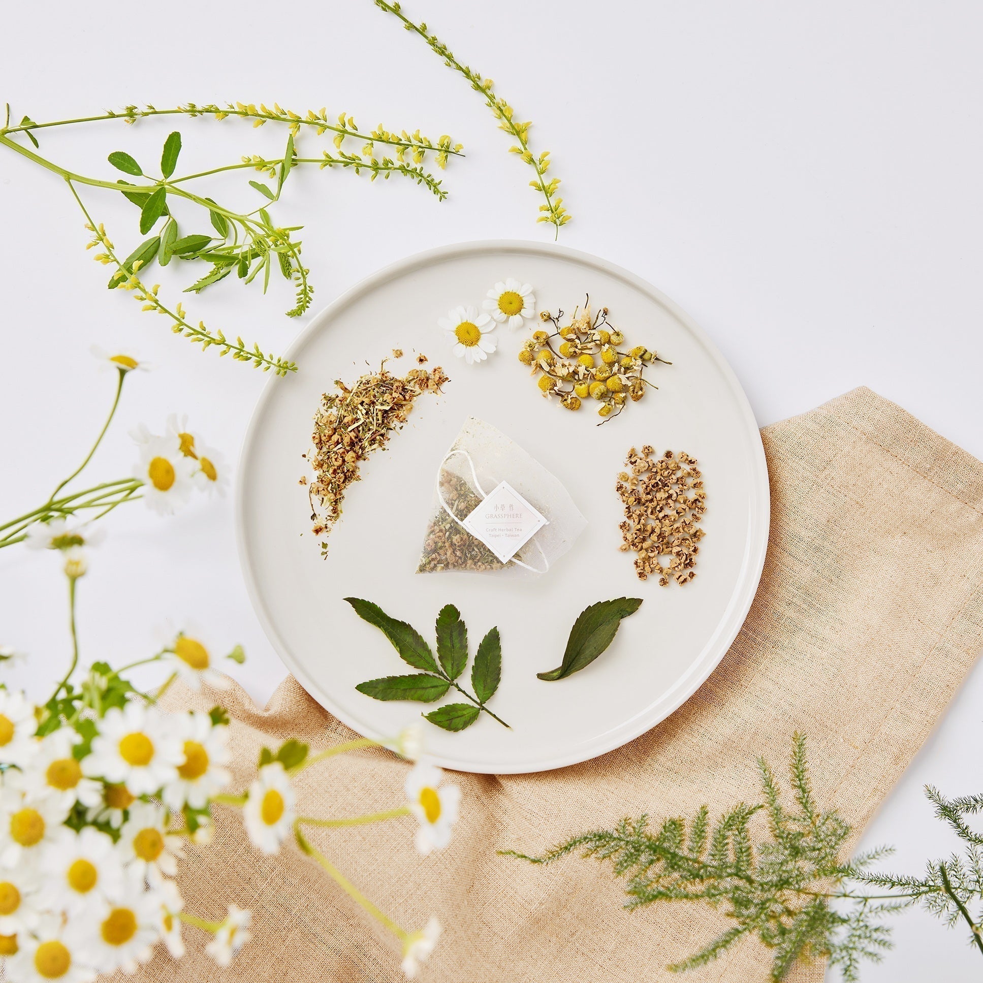 洋甘菊茶真的幫助入睡?一篇搞懂洋甘菊茶功效、禁忌與沖泡方式!