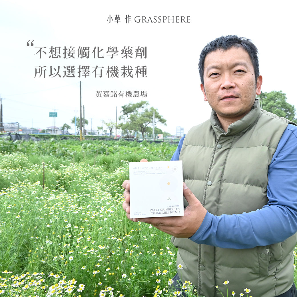 小草作洋甘菊的種植者:黃嘉銘有機農場