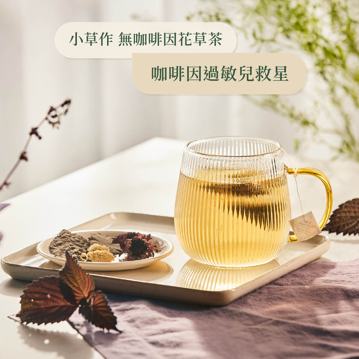 補氣茶沖泡情境照