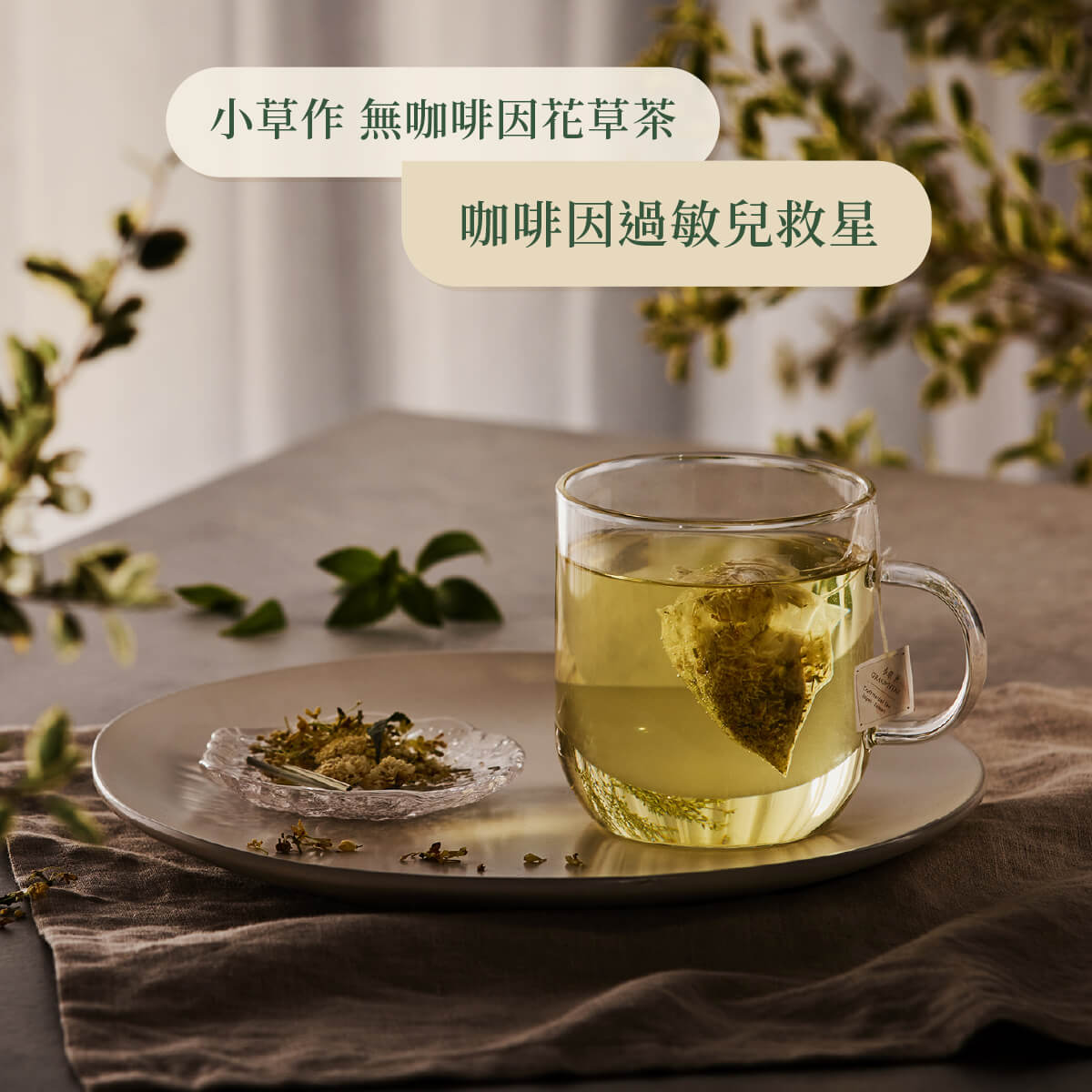 靜心茶沖泡情境照