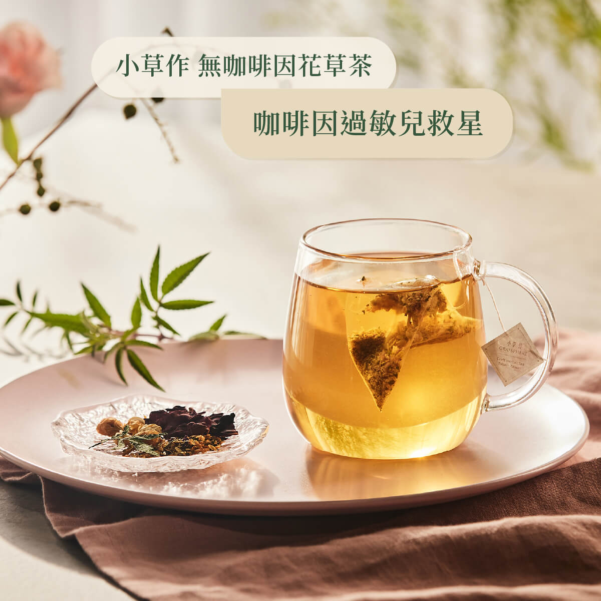 亮妍茶沖泡情境照