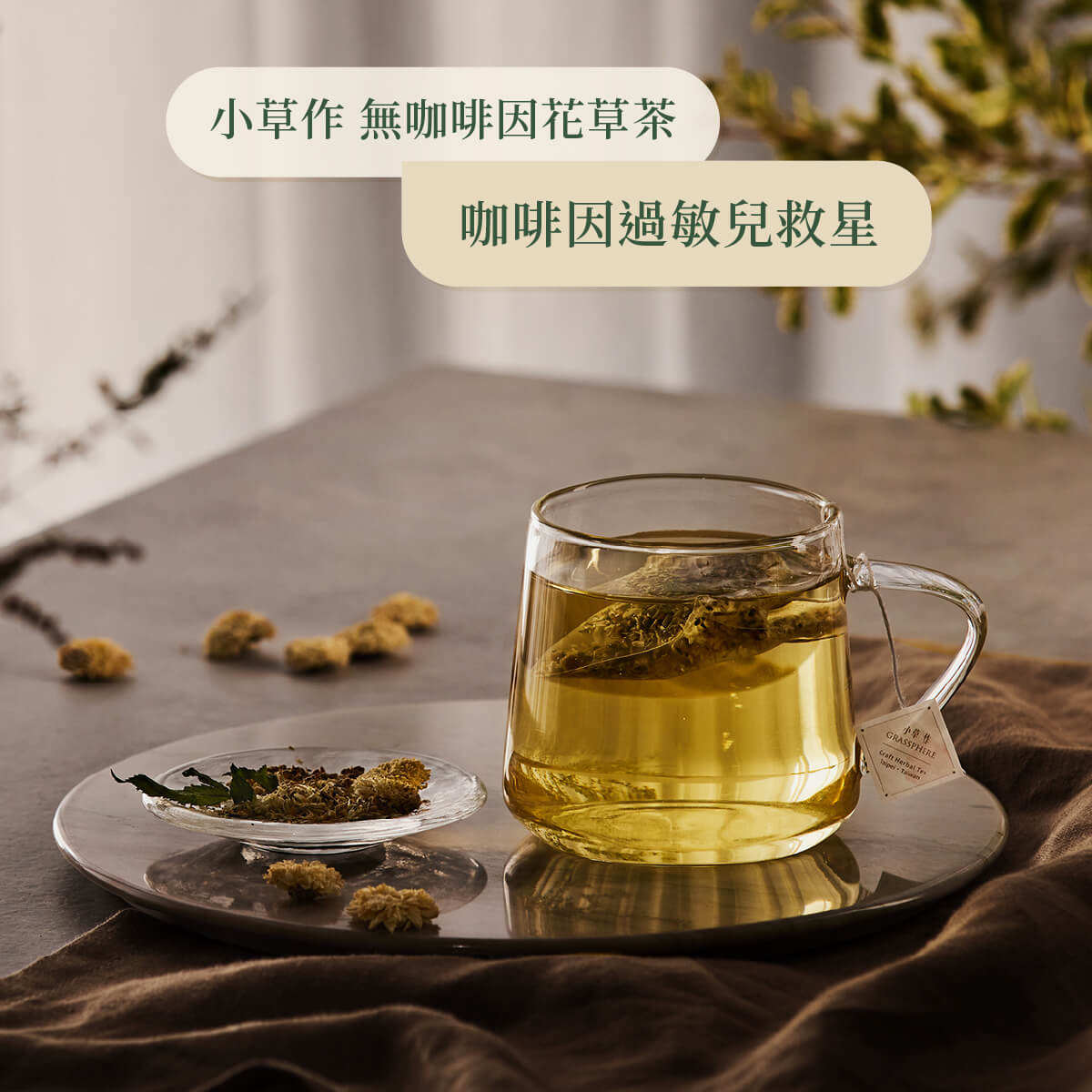 安神茶沖泡情境照