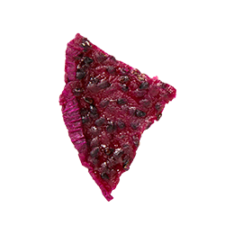 小草作採用屏東紅龍果