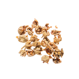 小草作選用高雄桂花