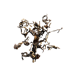 小草作選用新北東方美人茶