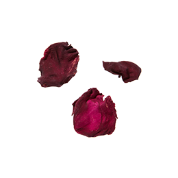 小草作選用屏東有機玫瑰