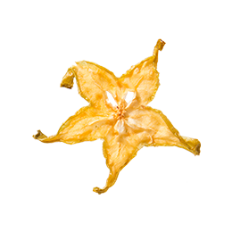 小草作採用屏東楊桃