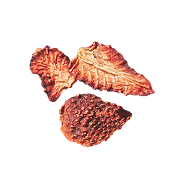 小草作選用苗栗香水草莓