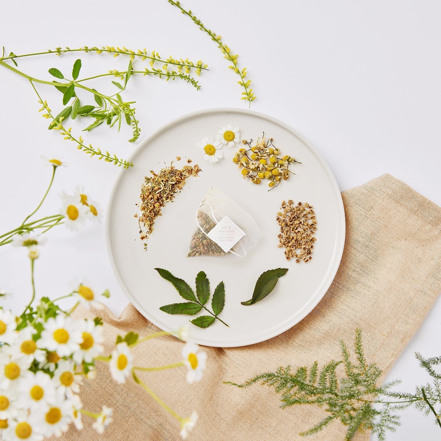 洋甘菊茶真的幫助入睡？一篇搞懂洋甘菊茶功效、禁忌與沖泡方式！