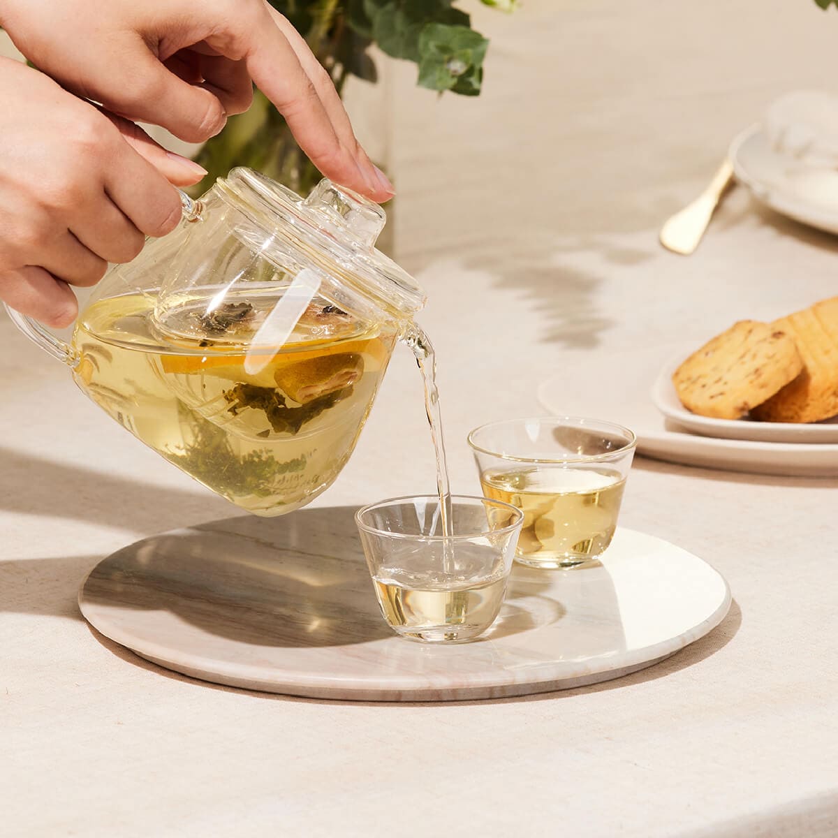 無咖啡因茶這樣選！擺脫失眠焦慮，11款好茶與挑選祕訣全公開