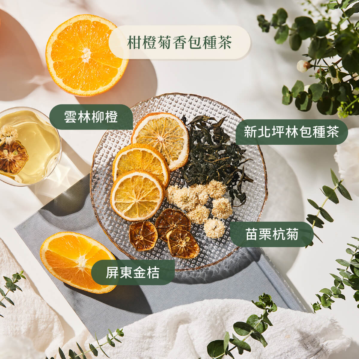 柑橙菊香包種茶原料圖示