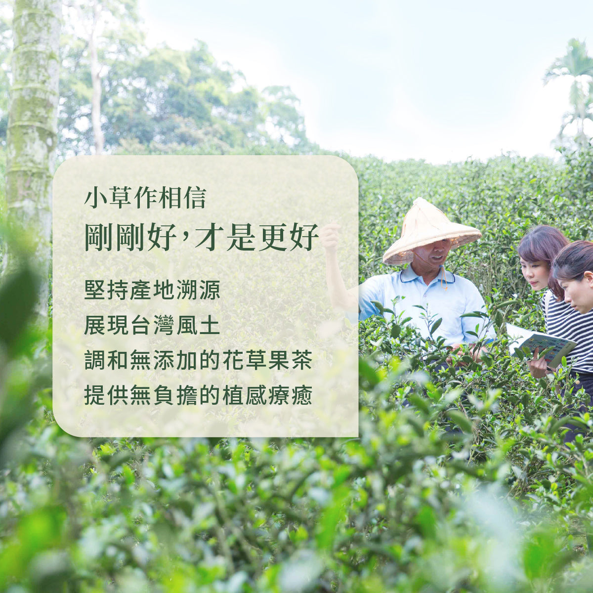小草作品牌理念