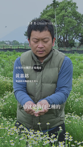 【限量供應】無咖啡因 洋甘菊複方 舒眠茶 (指定助眠配方)